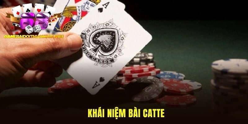 Khái niệm về bài catte
