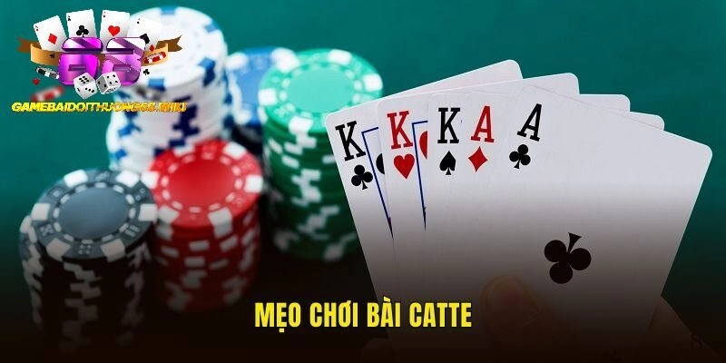 Mẹo hữu hiệu khi chơi catte