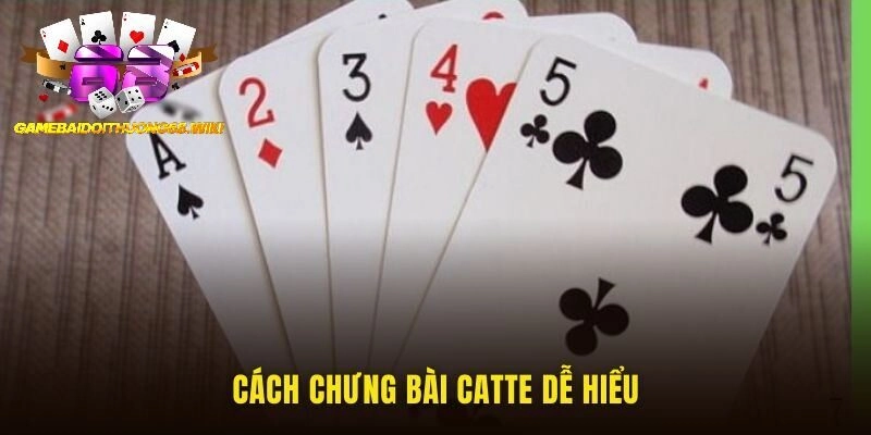 Cách chưng bài catte dễ hiểu