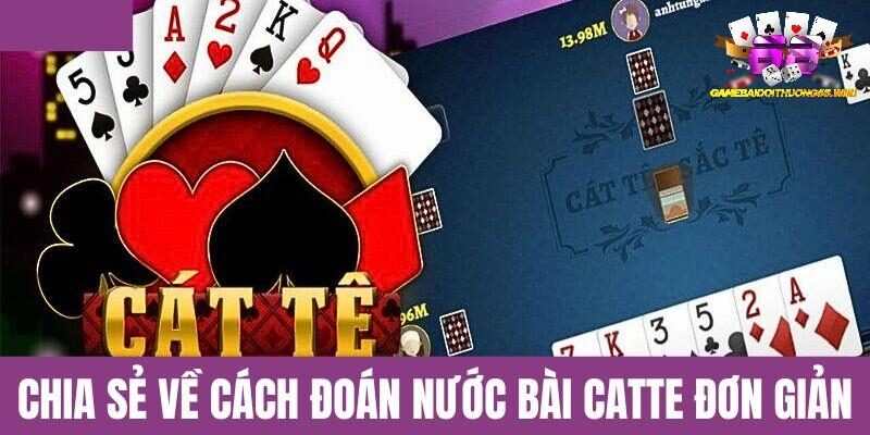 Chia sẻ về cách đoán nước bài Catte đơn giản