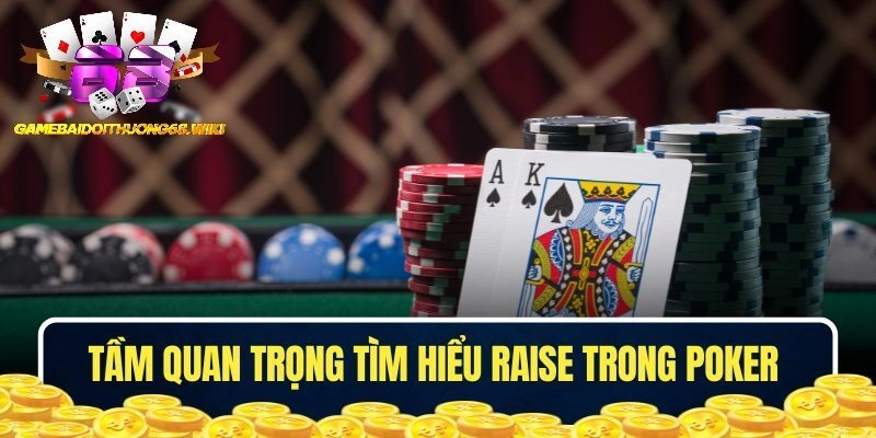 Raise trong Poker là gì, liệu có quan trọng